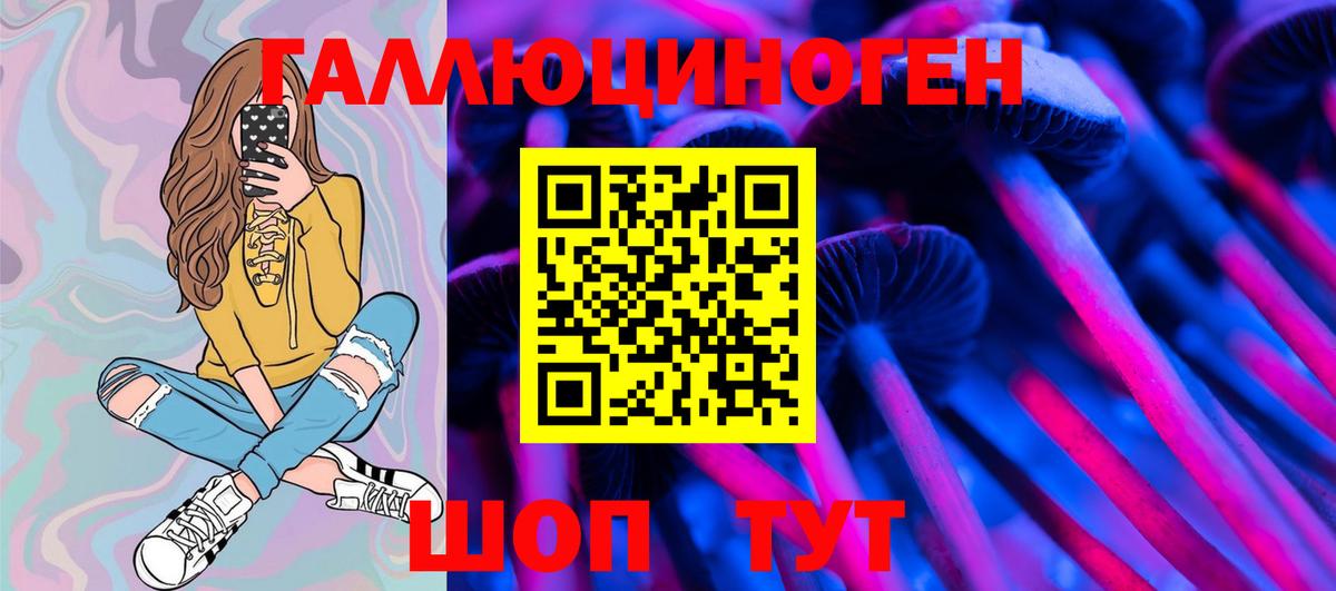 где купить наркоту  Галлюциногенные грибы Psilocybe  Вход с VPN  Углич 